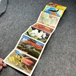 Vtg A Lei Of Flowers From Hawaii Souvenir Postcard Booklet Floral Photos 60s 70s